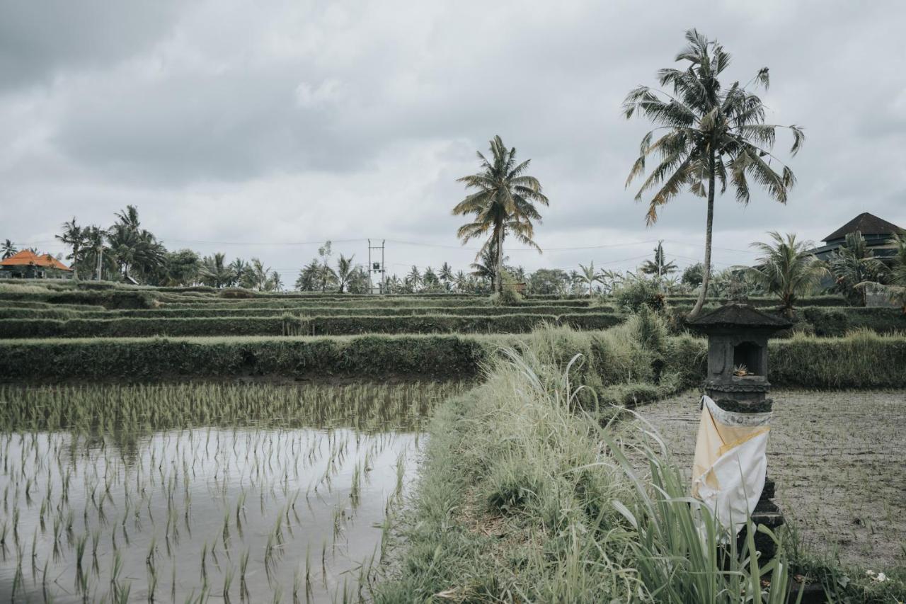 The Ning Resort Ubud ภายนอก รูปภาพ